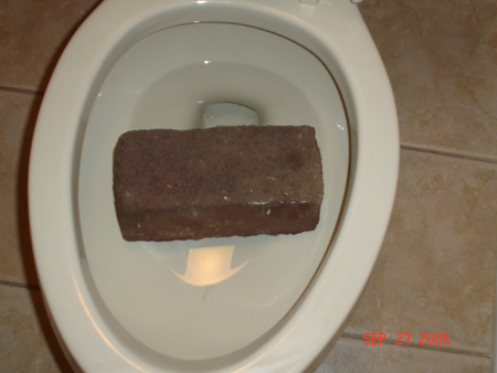 birthday poop