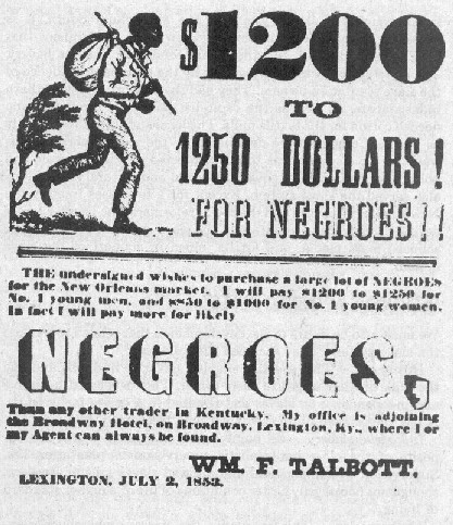 negroes