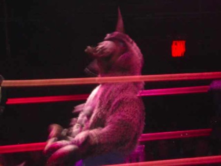kaiju bb