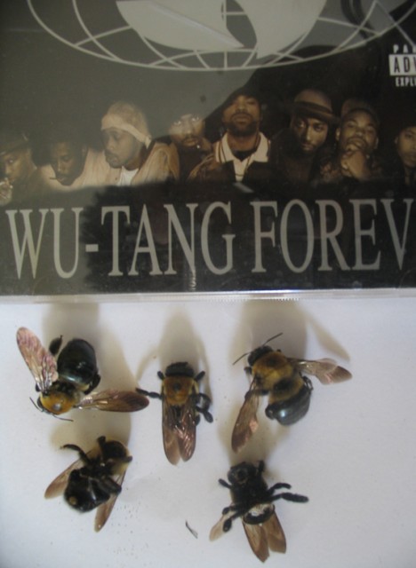 wu tang forever