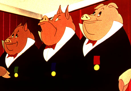 pigs