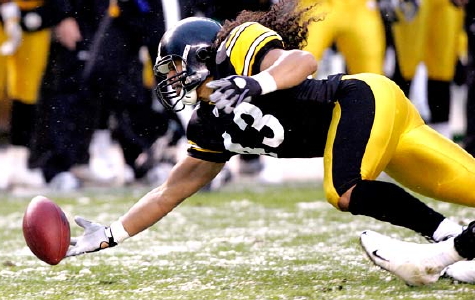polamalu