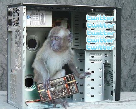 twitter monkey