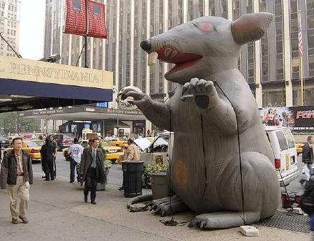 union rat