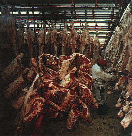 slaughter house